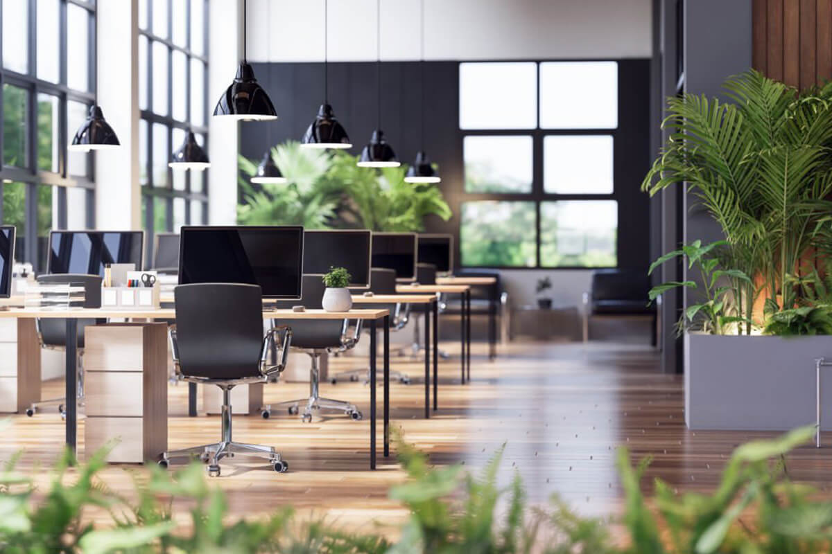 Startups & Limited Companies